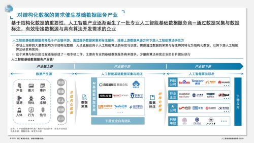 德勤咨詢人工智能基礎數據服務白皮書 數據處理服務的核心價值與實施路徑