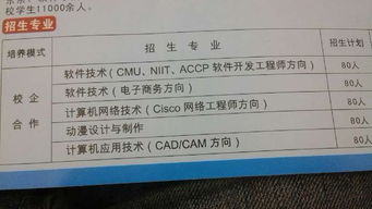 大學(xué)軟件測試方向?qū)I(yè)選擇指南 計算機網(wǎng)絡(luò)、計算機應(yīng)用與軟件技術(shù)深度解析